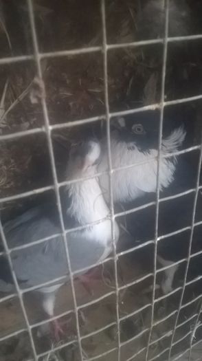 WP_20151031_16_30_52_Pro