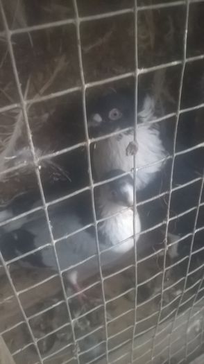 WP_20151031_16_30_38_Pro