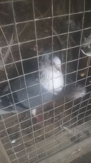 WP_20151031_16_29_14_Pro