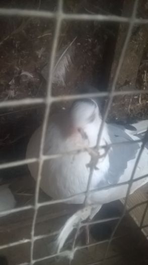 WP_20151031_16_28_49_Pro