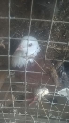 WP_20151031_16_28_34_Pro