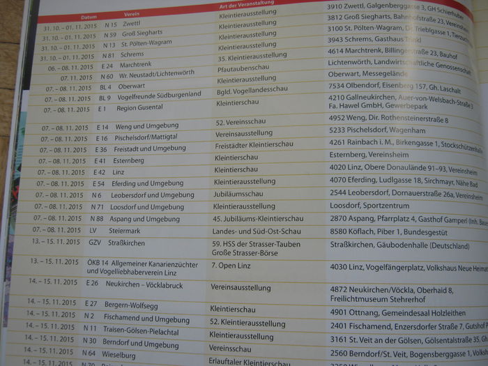 185 franz iep 002 - 7-anunt important