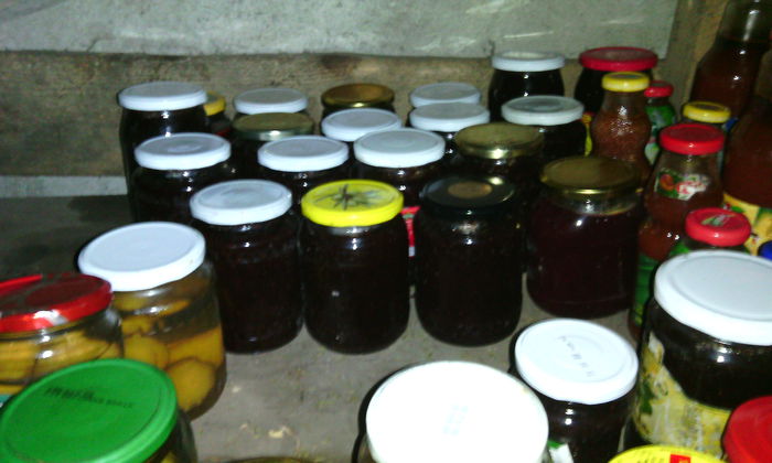 IMG_20151101_103605[1]