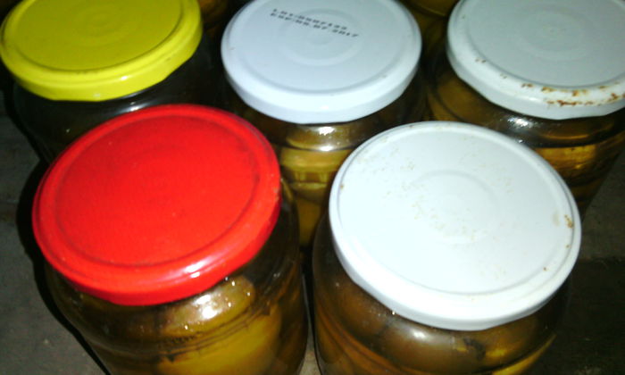 IMG_20151101_103839[1]