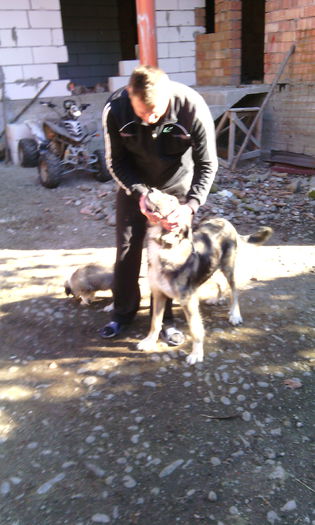 IMG_20151101_103315[1] - Animalutele mele