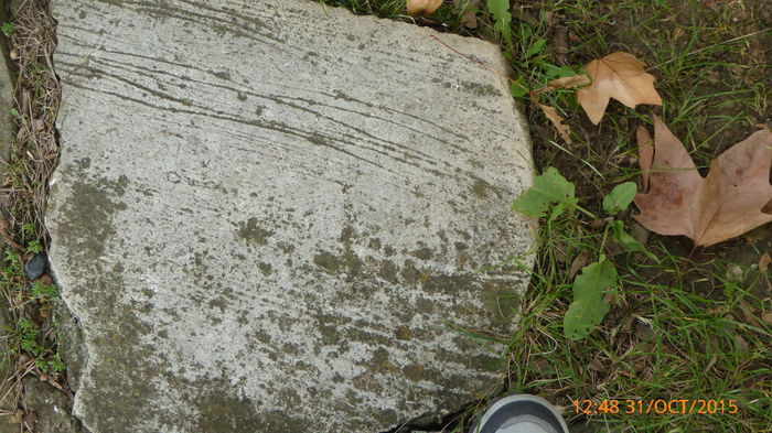P1020111