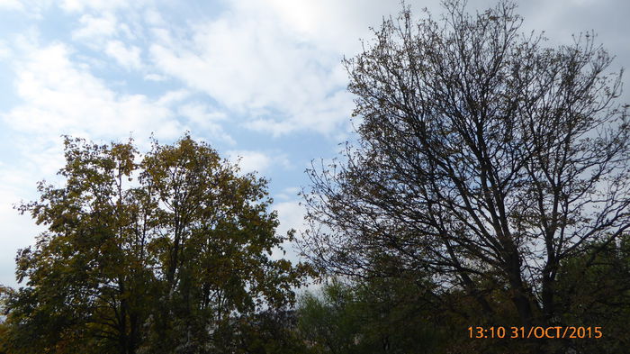 P1020124 - veliko tarnovo