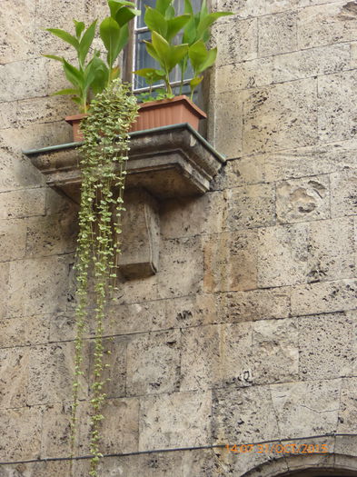 P1020204