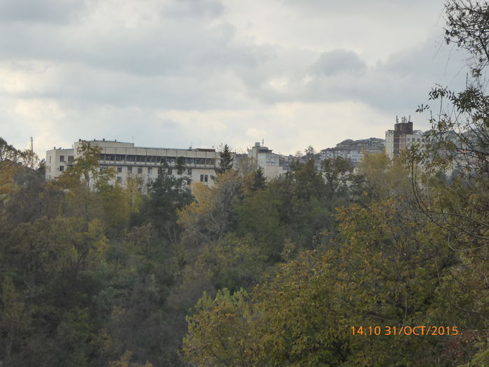 P1020213