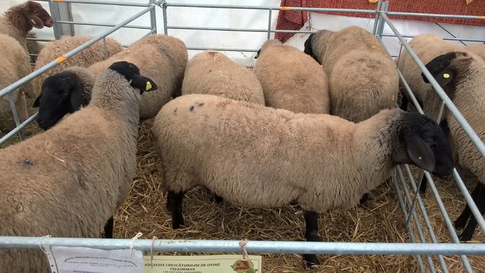 WP_20151031_10_55_05_Pro