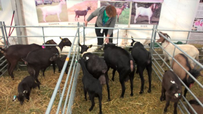 WP_20151031_10_58_28_Pro