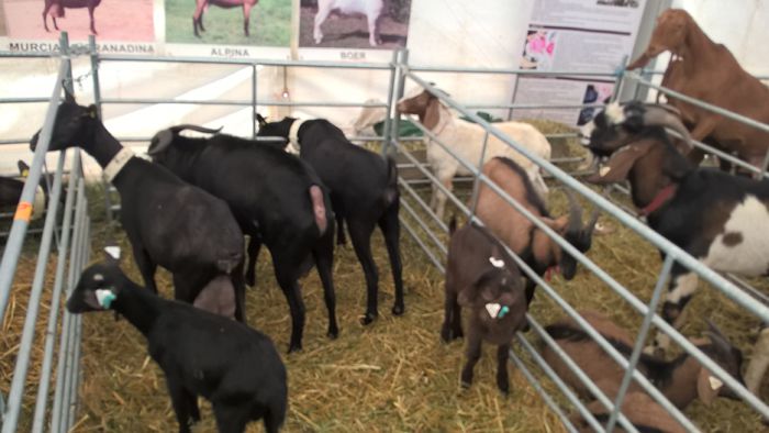 WP_20151031_10_58_34_Pro