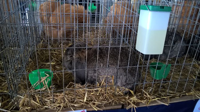 WP_20151031_11_22_29_Pro