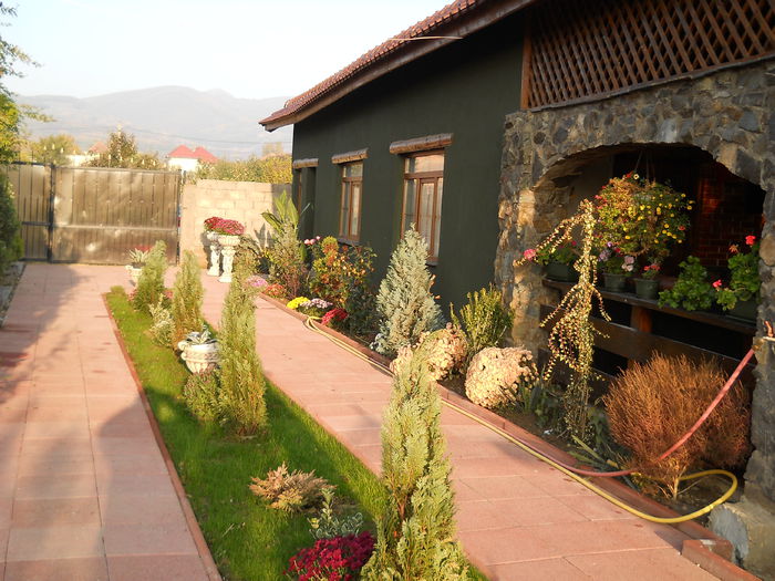 003 - de prin jurul casei