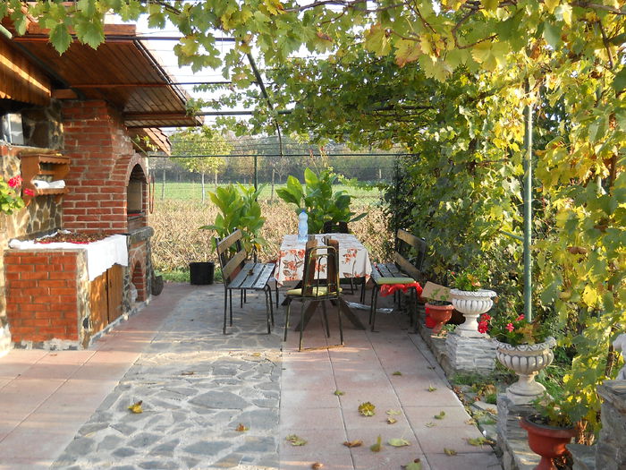 006 - de prin jurul casei