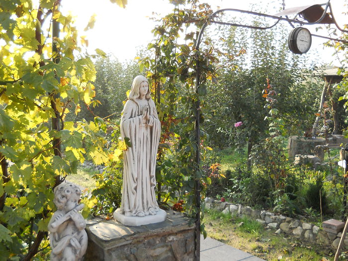 007 - de prin jurul casei