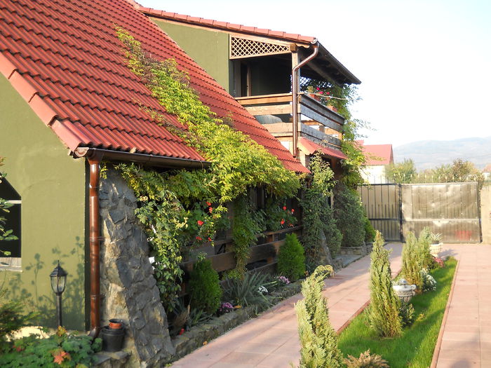 011 - de prin jurul casei