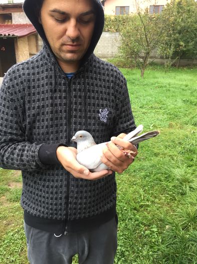 EU SI DEVOSUL; EU SI DEVOSUL
