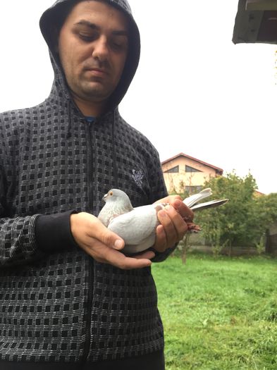 EU SI DEVOSUL; EU SI DEVOSUL
