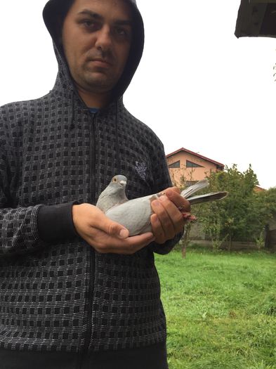 EU SI DEVOSUL; EU SI DEVOSUL
