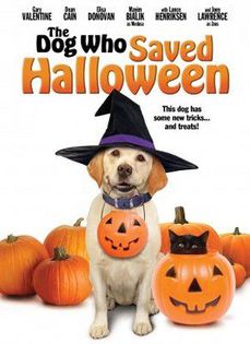 [Halloween-ul cateilor]