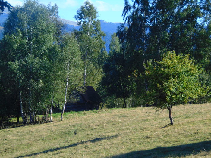 DSC00563 - Photo 00