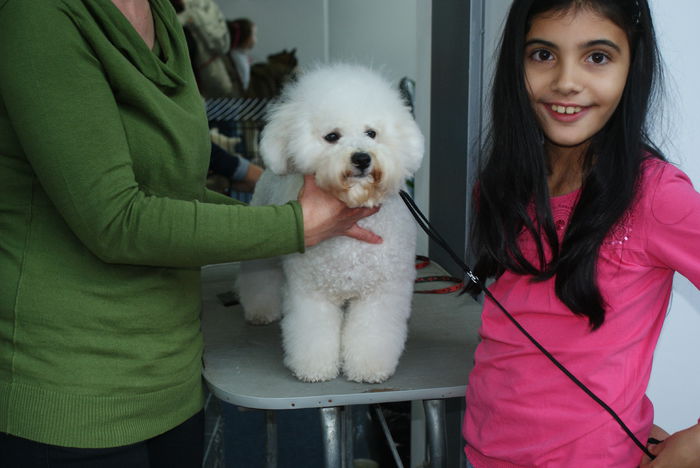 DSC00790 - CACIB Craiova 30 10 2015