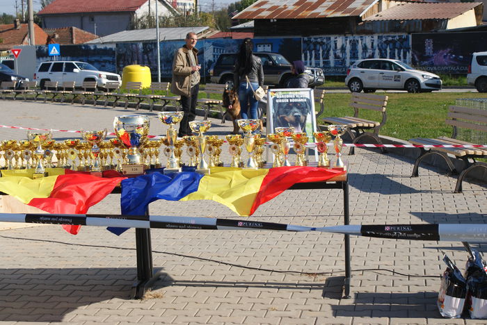 DSC00757 - Expo rottweiler Danubius Klub Romania