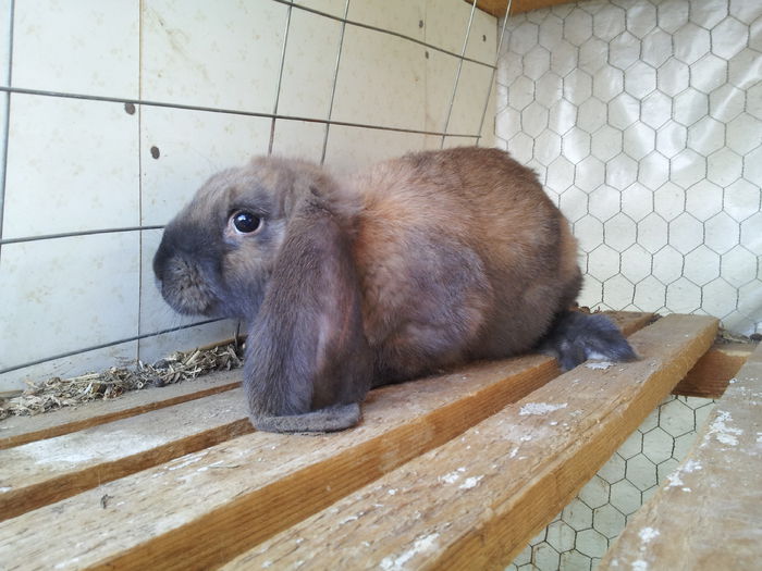 20150408_112715; LA O LUNA JUMATE
