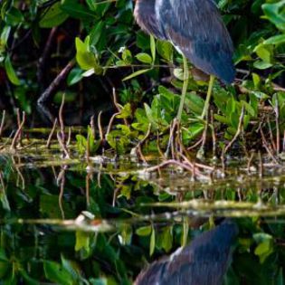 37700_d379574b974f1e295f5d4ff13b378bfc_mdsq