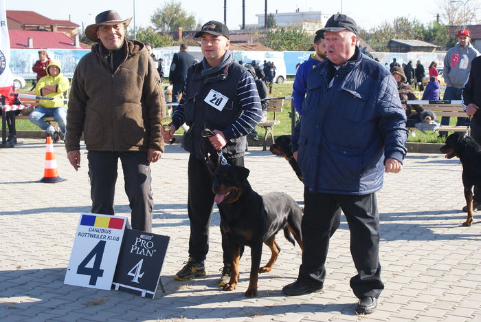 DSC01115 - Expo rottweiler Danubius Klub Romania