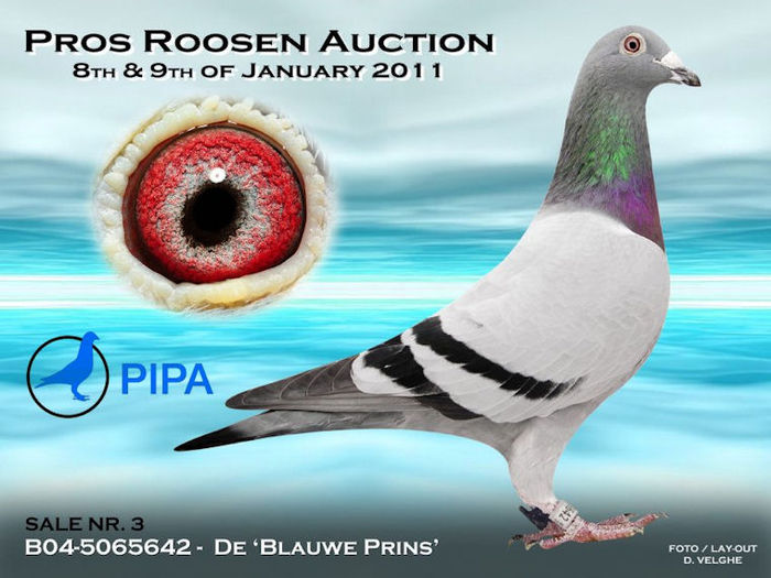 Orig Pros Roosen - Blauwe Prins 156 000 euro