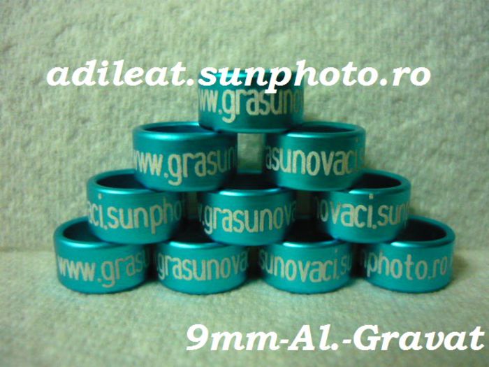 www.adileat.sunphoto.ro