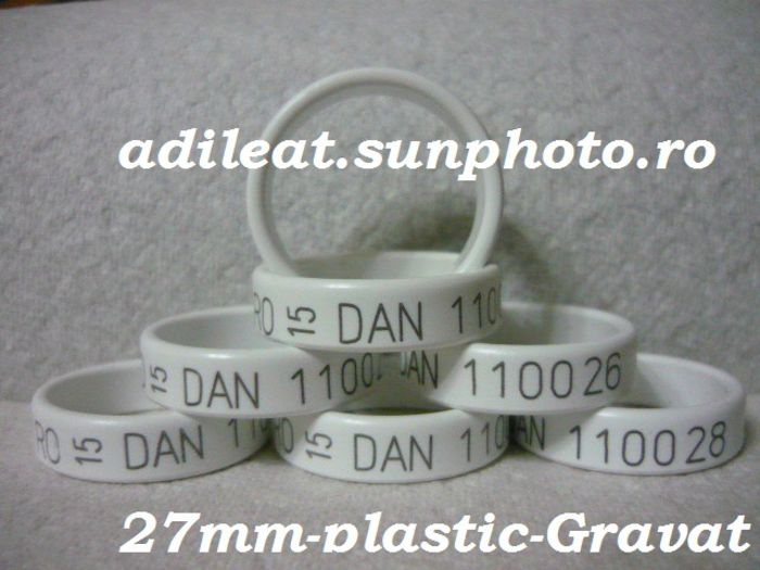 www.adileat.sunphoto.ro - Inele-Cleme  Gaini-Rate NEW