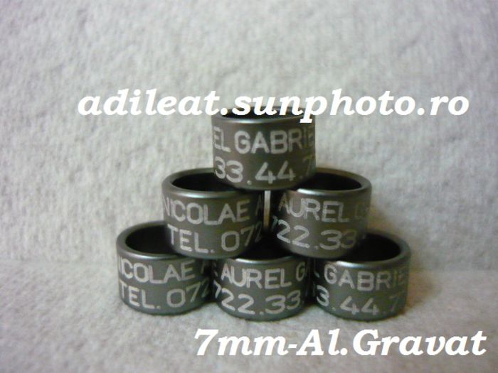 www.adileat.sunphoto.ro - Inele Plastic si Aluminiu Gravat