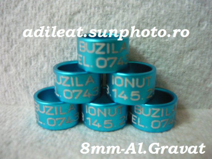 www.adileat.sunphoto.ro - Inele Plastic si Aluminiu Gravat