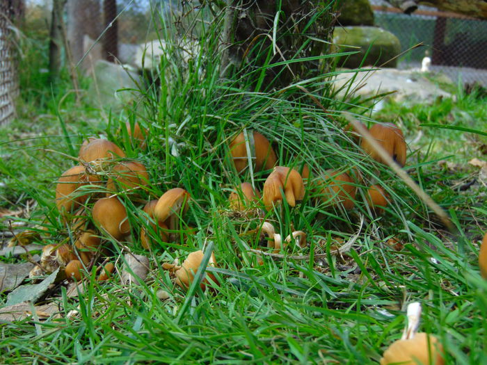 DSC01040