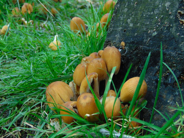 DSC01041
