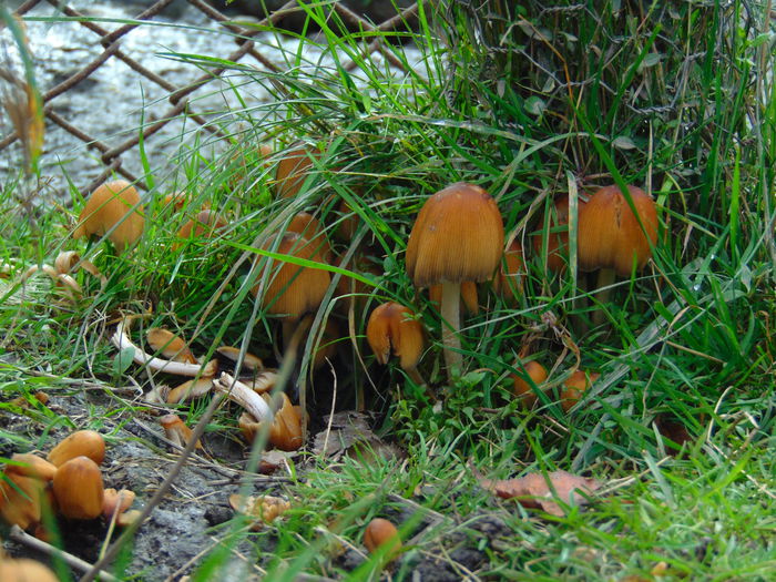 DSC01046