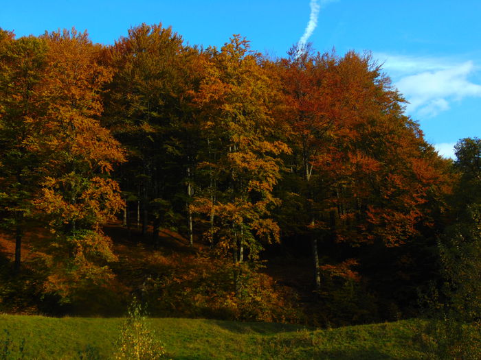 DSC01121 - Photo 00