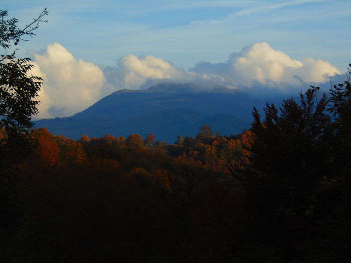 DSC01148 - Photo 00