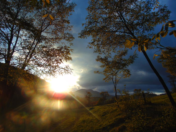 DSC01164 - Photo 00
