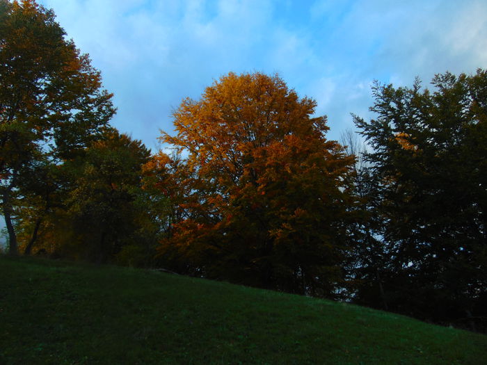 DSC01169 - Photo 00