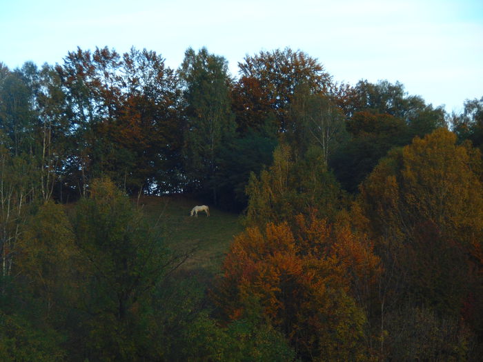 DSC01174 - Photo 00
