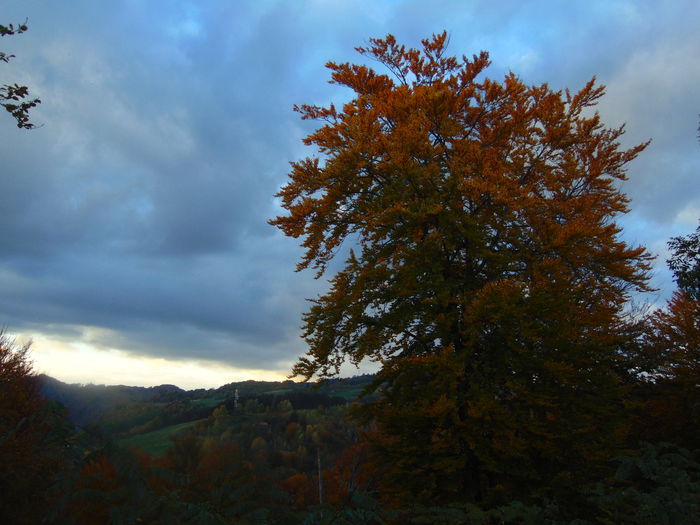 DSC01178 - Photo 00