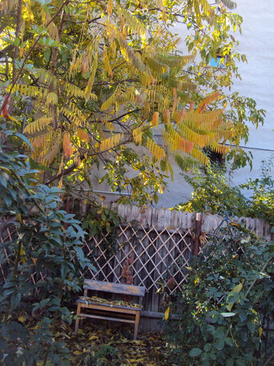 DSC08322