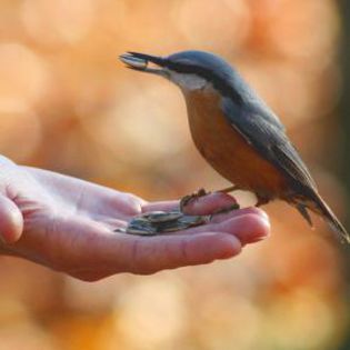 39940_5cf7c0b9592368b97cf6599d1a558739_mdsq