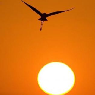 40703_fe59f53444dbf918e1071f4d26c8b7e6_mdsq