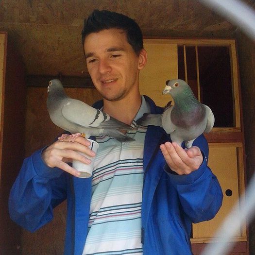 Eu si 2 porumbei speciali; Femela: Fiica Loc 2 848 km  Norma F+M ;
Mascul: Franz Marchat
