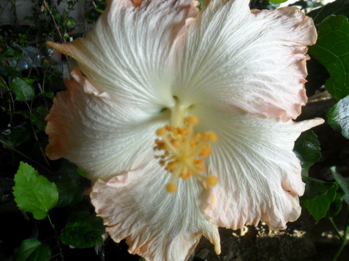032